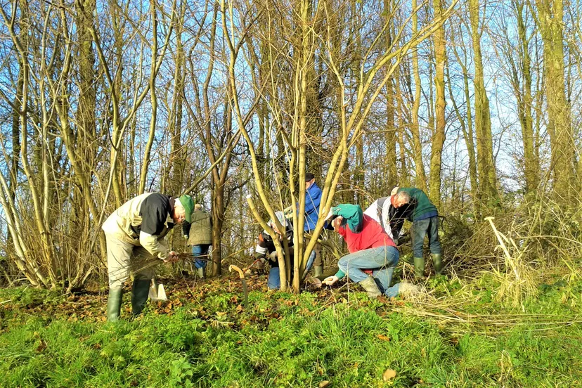 Natuureiland en Dorpsbos Biddinghuizen (© Landschapsbeheer Flevoland)