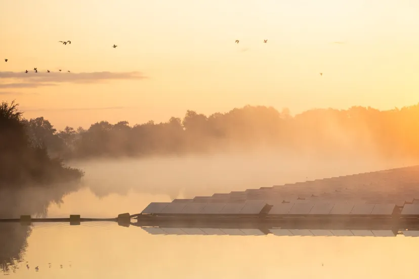 116938322 3249784181745925 3832702165963383612 o