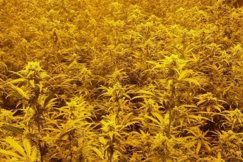 154098175 4003498516347868 3540851567448695677 n