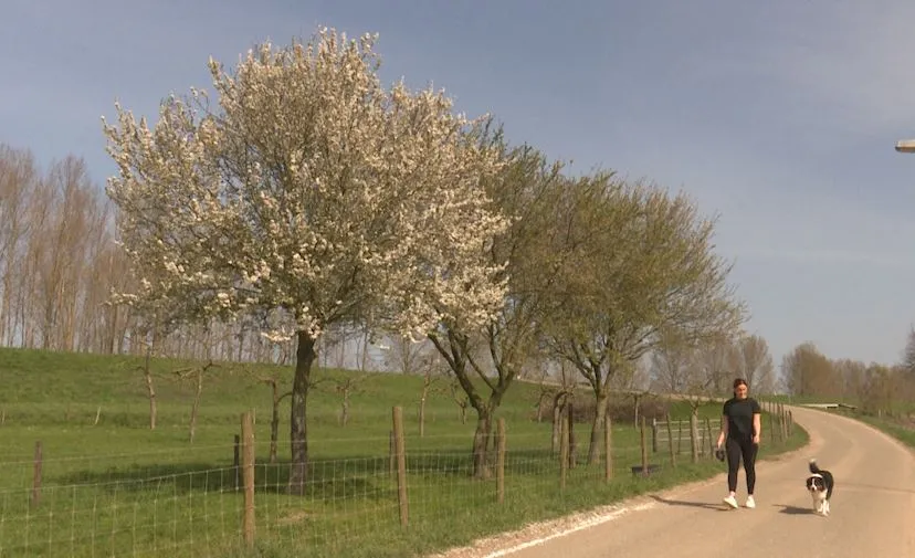 176794060 324376509306679 6974390512264977001 n