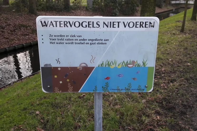 182076983 4050114295046239 8487660581749681373 n