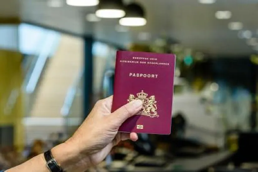 229636587 192265229625216 1638014826905029450 n