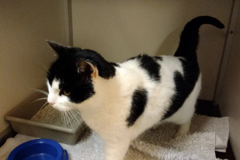 24799658 1322636654508565 559512802472262606 o