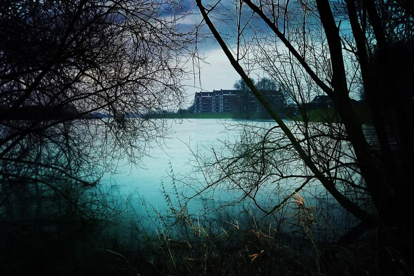 26732608 10155349071933230 2012018873 o