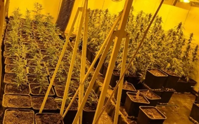 270254391 283235733834513 2252415887716076087 n 915x518 1