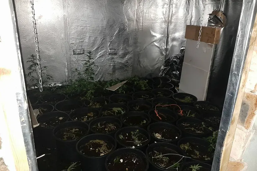 27336247 1772510369446705 4794397333950304624 n