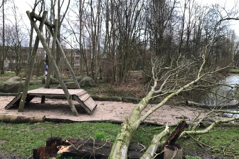 275115444 332703155581422 2195194333503249545 n