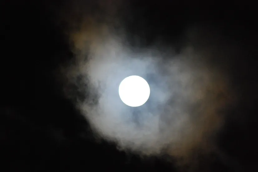 27605008 10155413008378230 1571050513 o