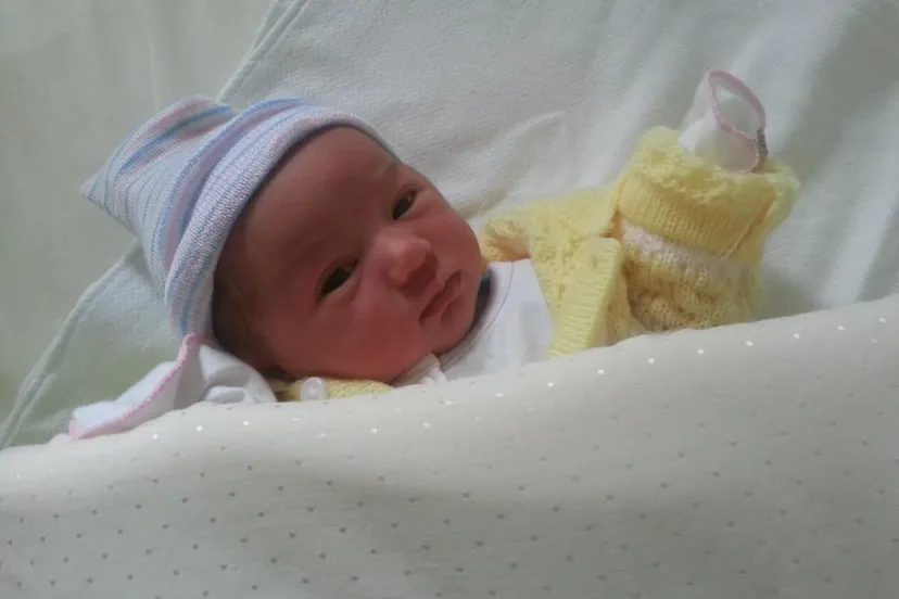 282303 3358495420882 1596596640 n