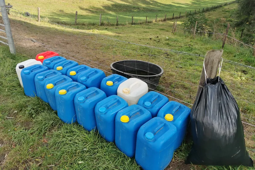 2a0259e4 a9e8 4198 9125 b19a21c78c42