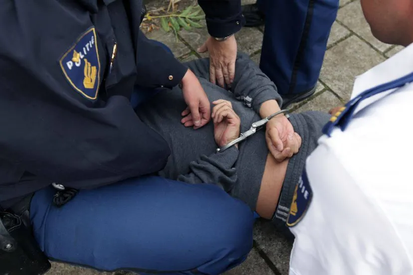 31224826 1866917616672646 6305943345596203008 o