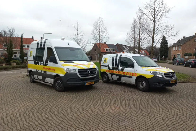 325497165 1236633817262287 7047532998919595529 n