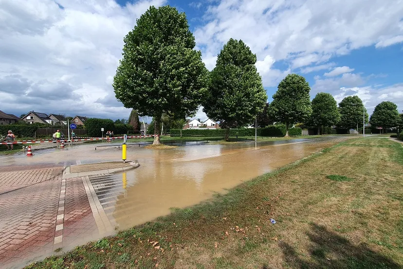 33892e0a e8e4 4888 bb77 0ac9b6fdda28