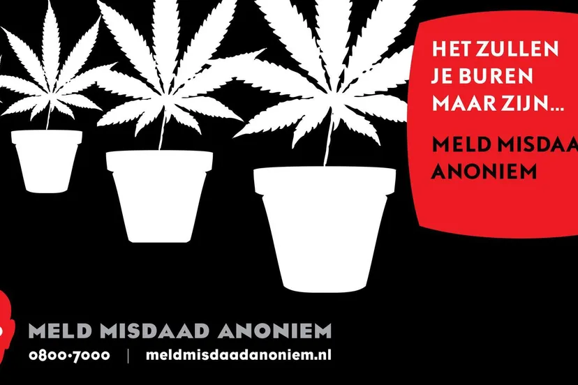 352382351 639647711526645 2353846812271487387 n