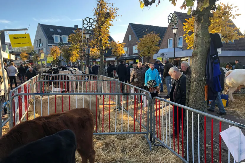 45678085 2338653076177365 8912193805059358720 n