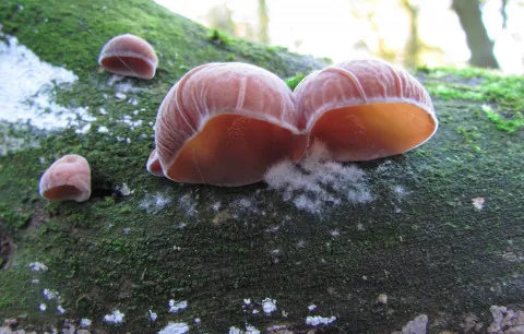 53bc25f5 87e1 4ac0 9c6b ba24828160e5