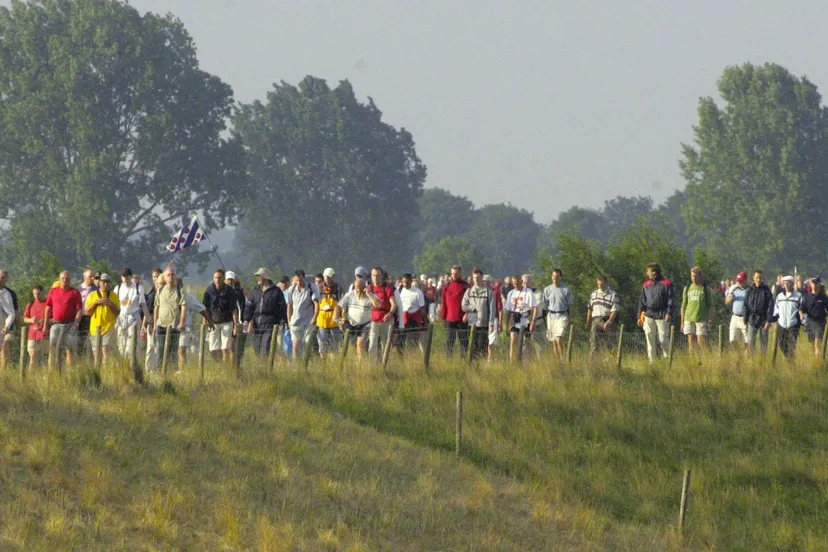 55959605 2222775781113442 9004079364727373824 o