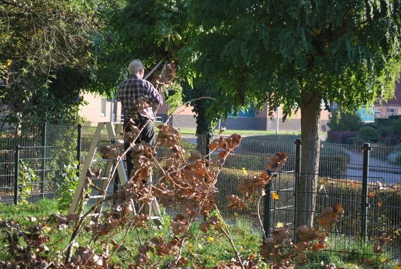 57176969 2243331142391239 2588649133728333824 n