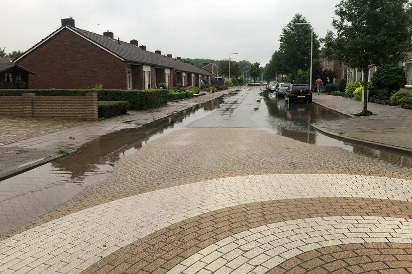 8cf4f8dd 9954 4178 be9e 76660a0bbdd2