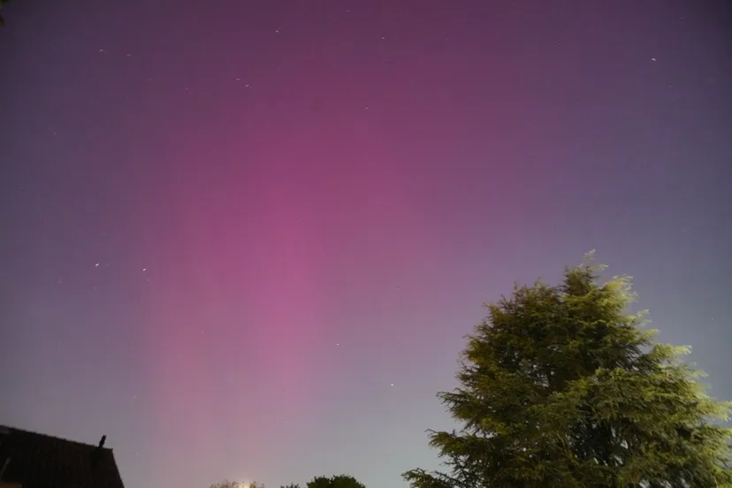 c52072a7 7a29 45e2 b183 032ebc03e74a