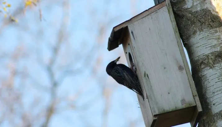 cataracts 1405862 1280 715x408