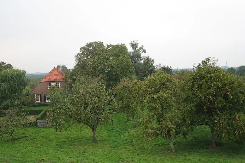 doe mee aan de actie houd de bongerd hoog in beuningen druten heumen west maas en waal en wijchen