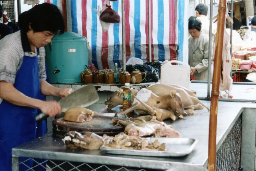dogs being butchered in guangdong china 1999 cc by sa 30