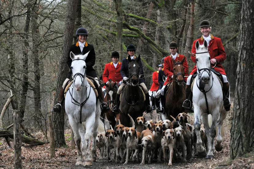 engelse slipjachtdemonstratie