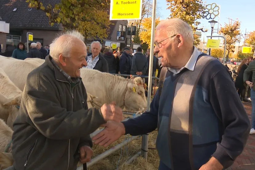 handje klap leste mert