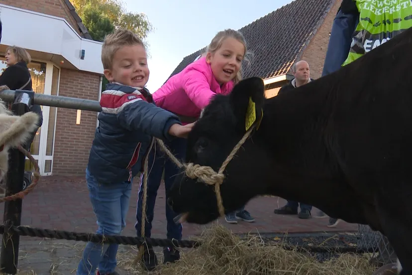 kinderen koe leste mert