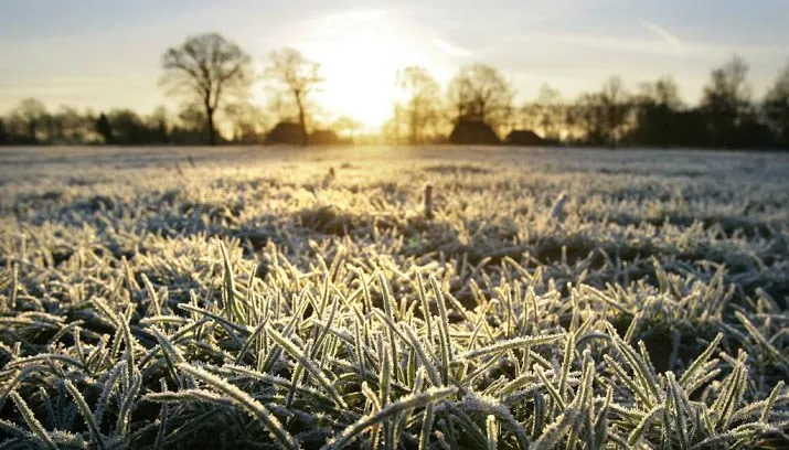 koude nacht in nederland op komst 715x408