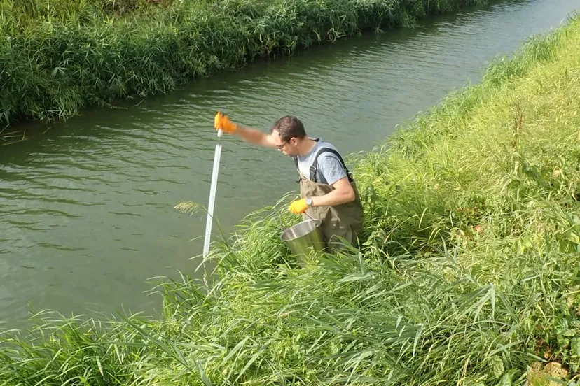 monsterafname blauwalg 2e6e117f 3bec 4b6c 8370 27561360ce88