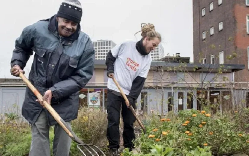 nldoet2020 9737 915x518 1