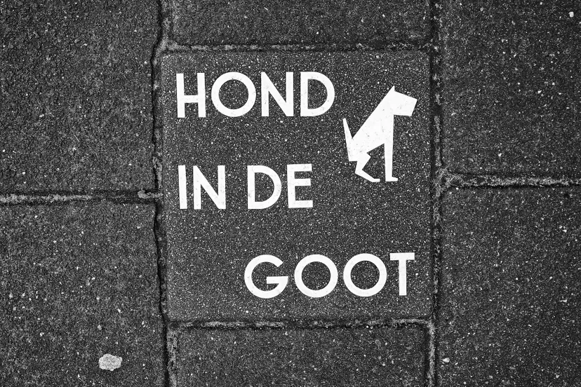 pavement 3104959 1920