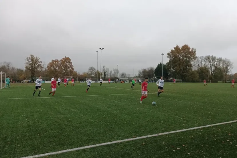 photo 2023 11 12 21 03 23 980x735 1