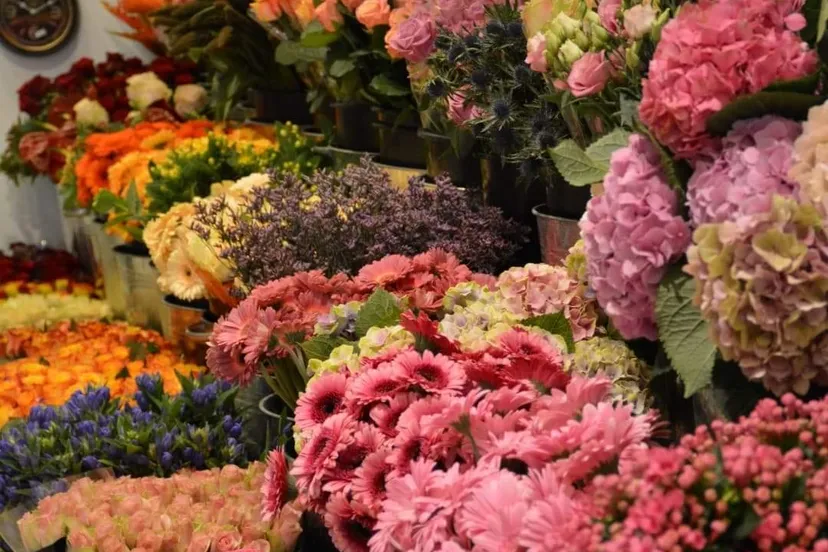 received 10156575370689108