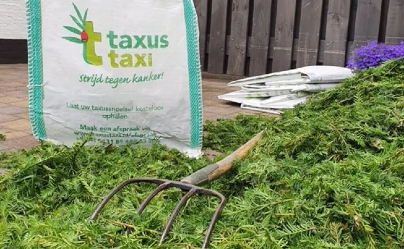 snoeisel met tas taxus taxi e1655730646120