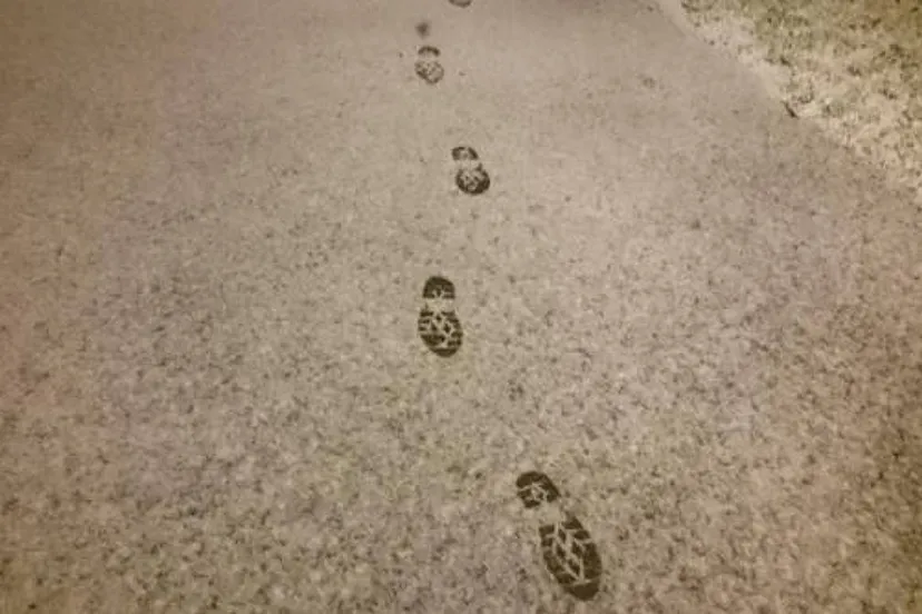 sporen sneeuw inbraken druten