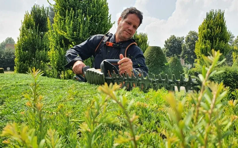 taxushaag snoeien 2021 scaled 915x518 1