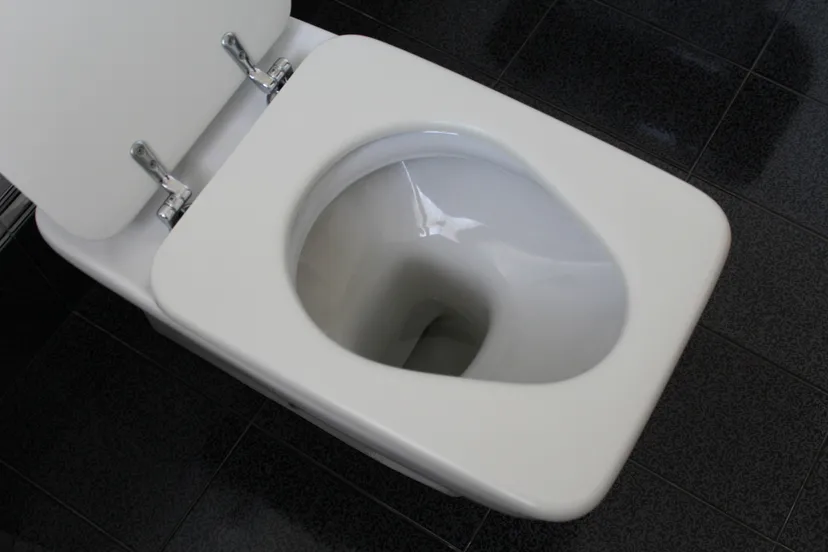 toilet ga245a9099 1920