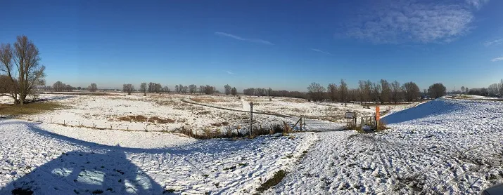 uiterwaarden in de sneeuw
