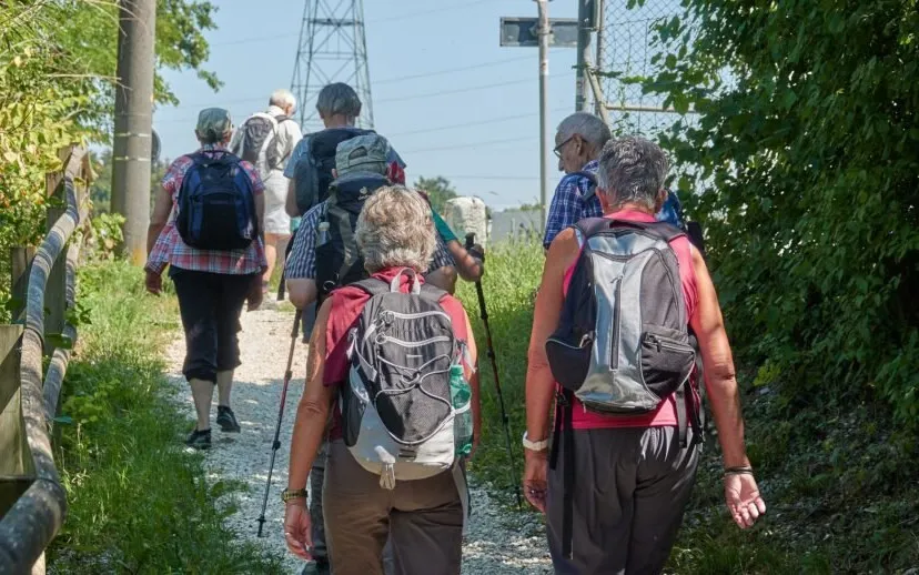 wandelen groep royburi pixabay 915x518 1