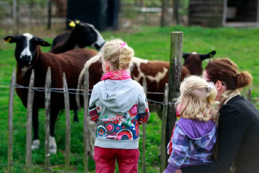 week van de pleegzorg