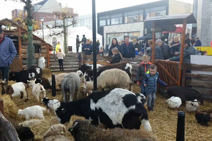 whatsapp image 2016 11 03 at 103842