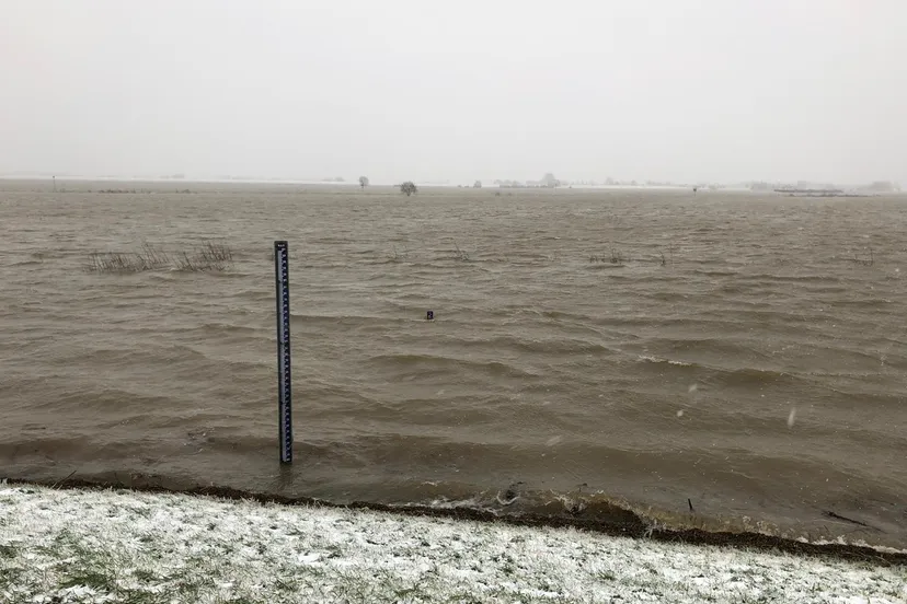 whatsapp image 2021 02 07 at 124946