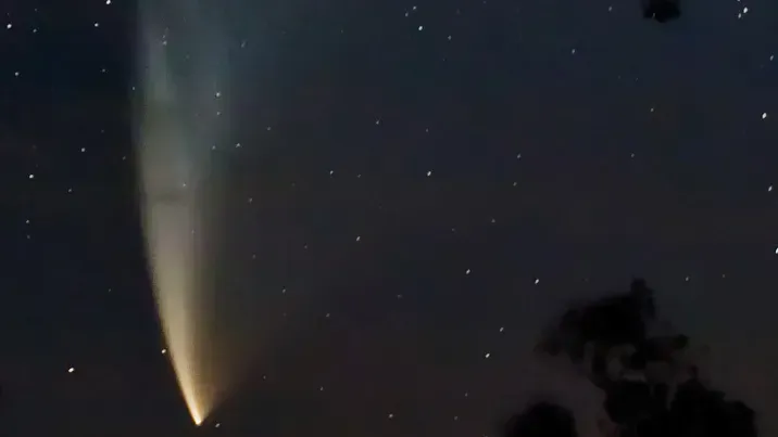 fir0002 flagstaffotos wikimedia 670aa79803704