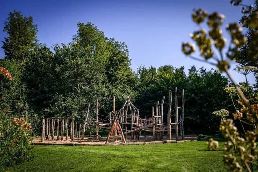 natuurwerkdag drutens bosje