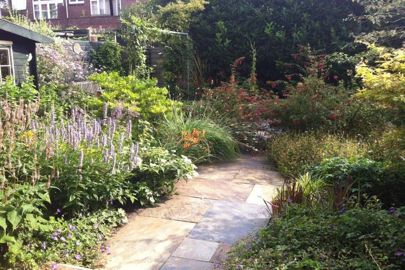 4 fotocredit groei bloei scaled