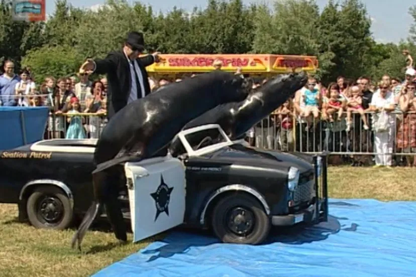 0b80373d 47e6 4d8e 92f7 ae375dc86c58