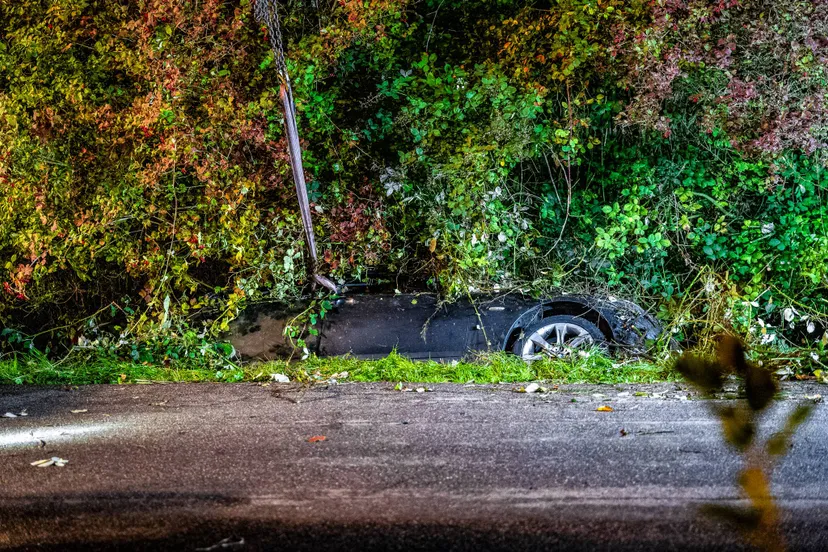 574c8c02-4367-4631-94e8-c3ed7a995e3c